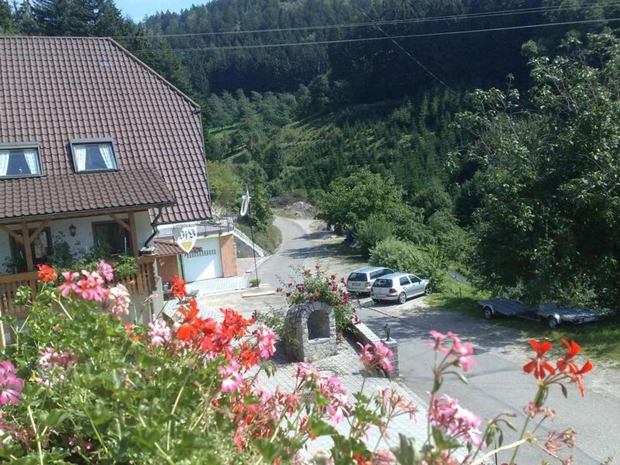Ferienwohnung Schneckenhus Lautenbach ภายนอก รูปภาพ