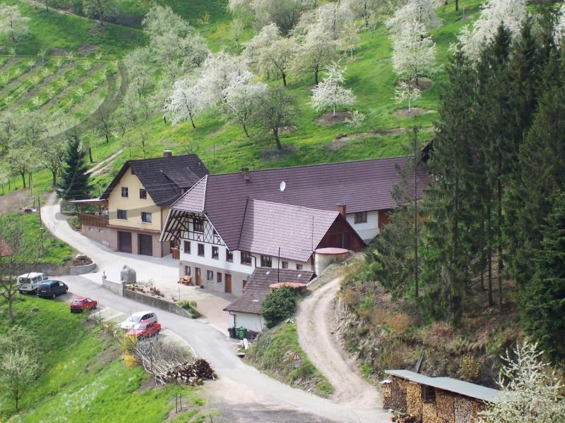 Ferienwohnung Schneckenhus Lautenbach ภายนอก รูปภาพ