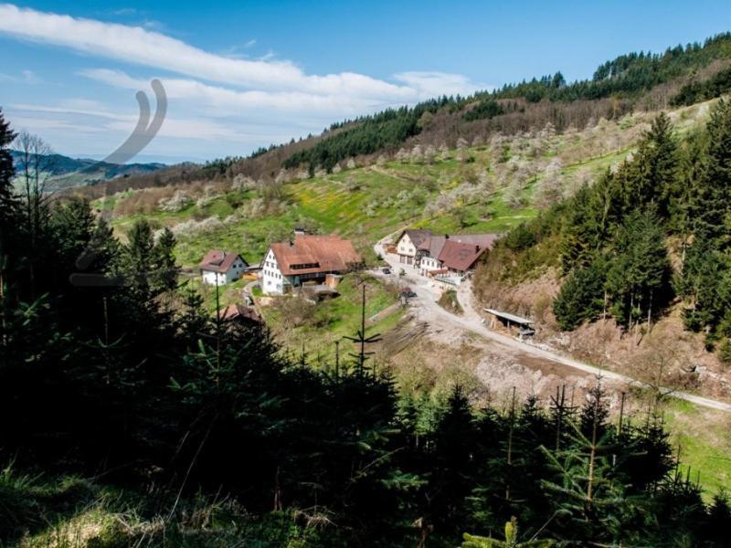 Ferienwohnung Schneckenhus Lautenbach ภายนอก รูปภาพ