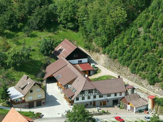 Ferienwohnung Schneckenhus Lautenbach ภายนอก รูปภาพ