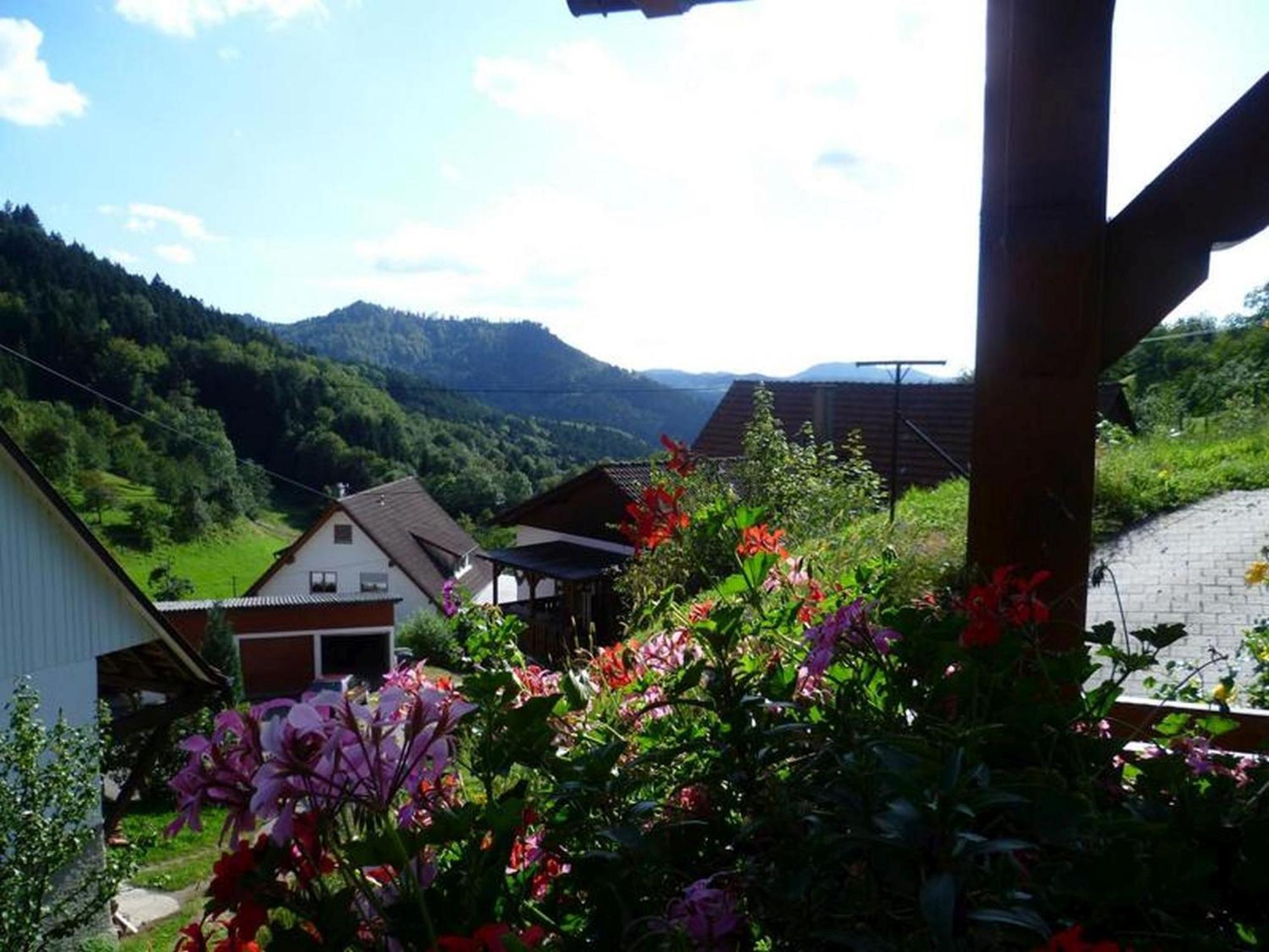 Ferienwohnung Schneckenhus Lautenbach ภายนอก รูปภาพ