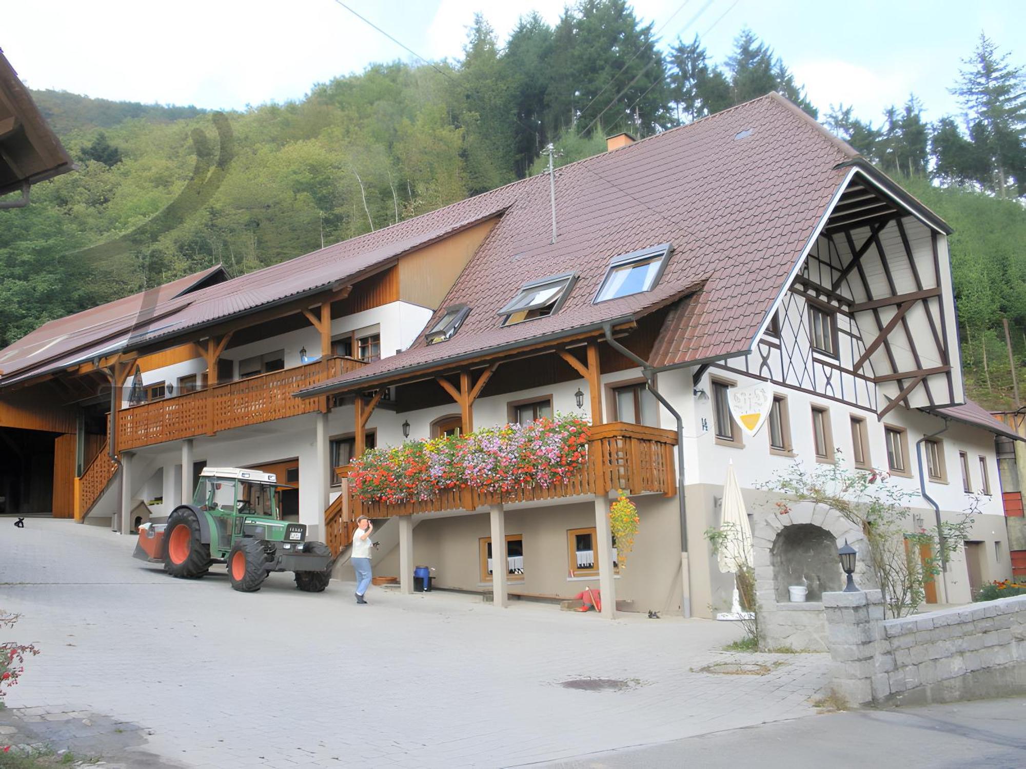 Ferienwohnung Schneckenhus Lautenbach ภายนอก รูปภาพ